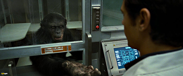 A still #81 from Rise of the Planet of the Apes (2011)