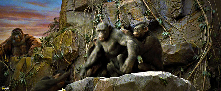 A still #80 from Rise of the Planet of the Apes (2011)