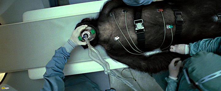 A still #78 from Rise of the Planet of the Apes (2011)