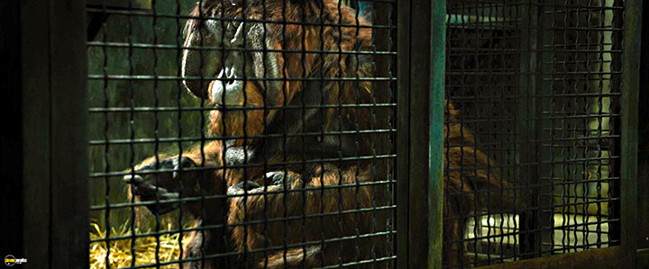 A still #77 from Rise of the Planet of the Apes (2011)
