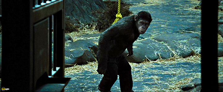 A still #73 from Rise of the Planet of the Apes (2011)