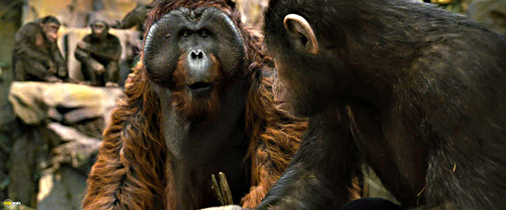 A still #67 from Rise of the Planet of the Apes (2011)