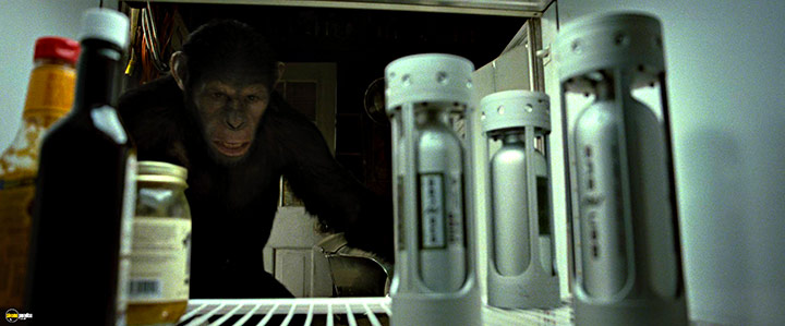 A still #65 from Rise of the Planet of the Apes (2011)