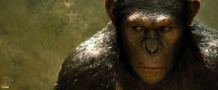 A still #64 from Rise of the Planet of the Apes (2011)