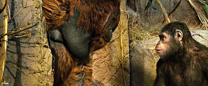A still #63 from Rise of the Planet of the Apes (2011)