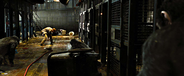 A still #60 from Rise of the Planet of the Apes (2011)