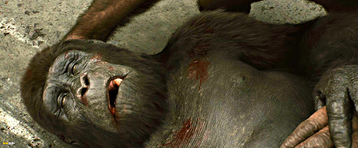A still #51 from Rise of the Planet of the Apes (2011)