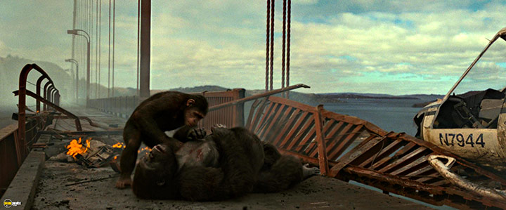 A still #50 from Rise of the Planet of the Apes (2011)