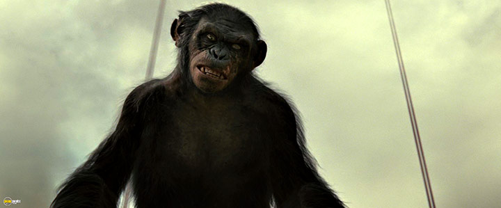 A still #49 from Rise of the Planet of the Apes (2011)
