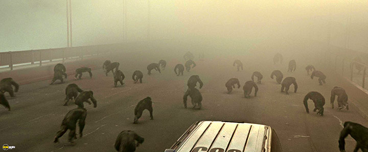 A still #48 from Rise of the Planet of the Apes (2011)