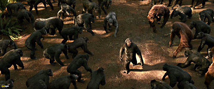 A still #46 from Rise of the Planet of the Apes (2011)