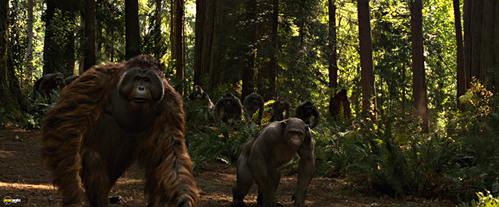 A still #44 from Rise of the Planet of the Apes (2011)
