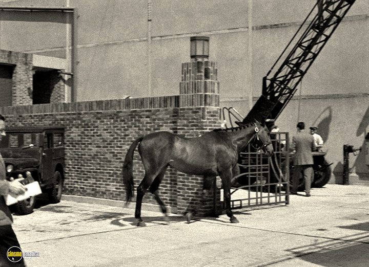 A still #31 from The Galloping Major (1951)