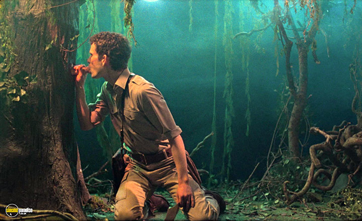 A still #25 from Blank Narcissus (2022)