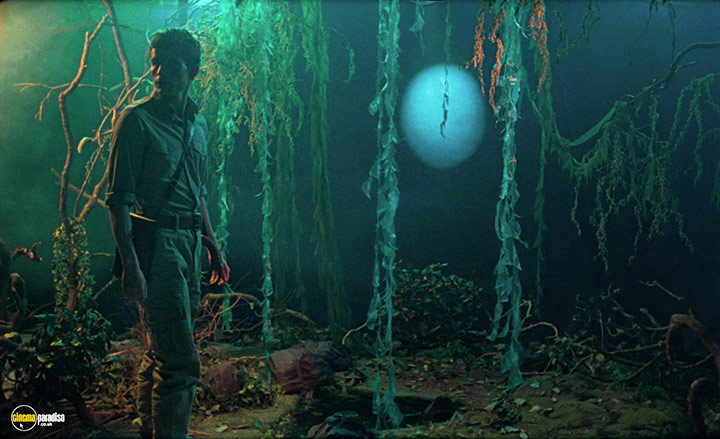 A still #6 from Blank Narcissus (2022)