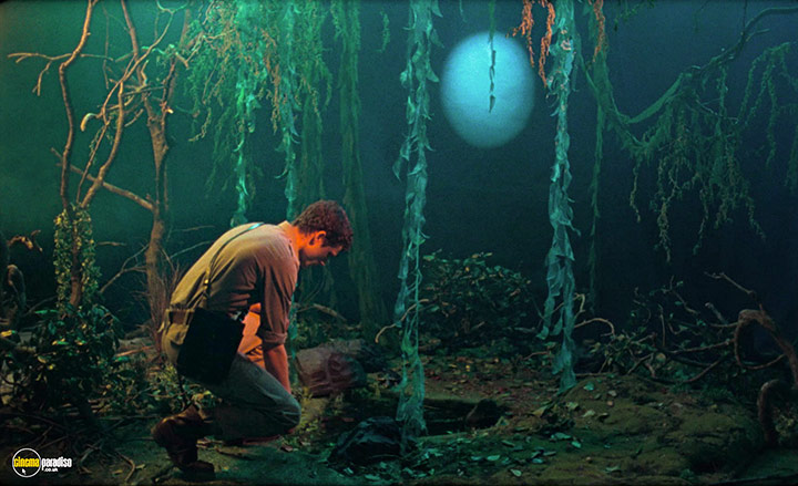 A still #10 from Blank Narcissus (2022)