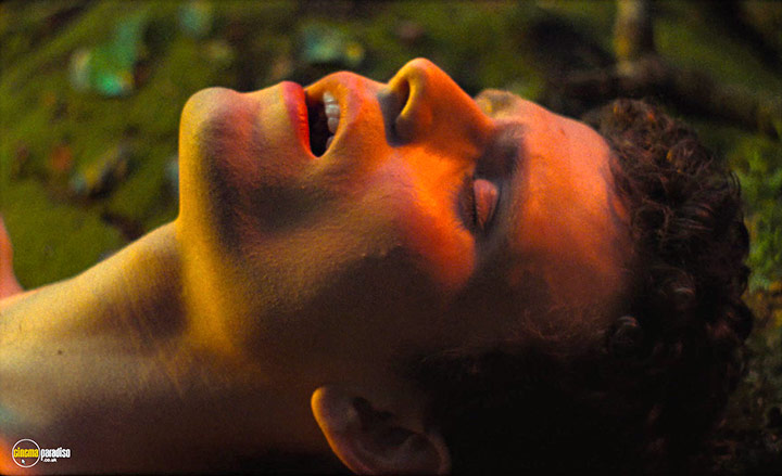 A still #12 from Blank Narcissus (2022)