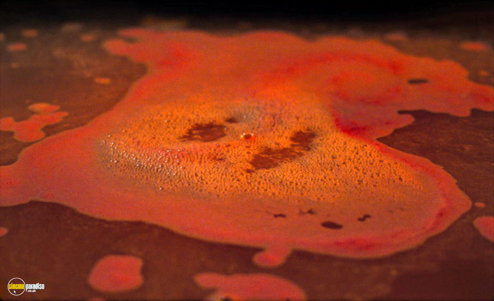 A still #9 from Blank Narcissus (2022)