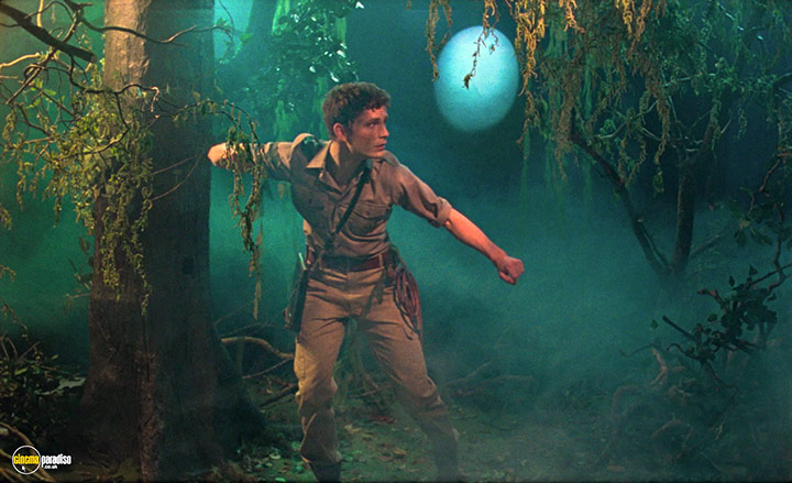 A still #4 from Blank Narcissus (2022)