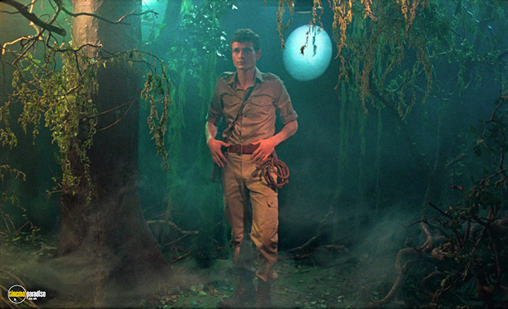 A still #2 from Blank Narcissus (2022)