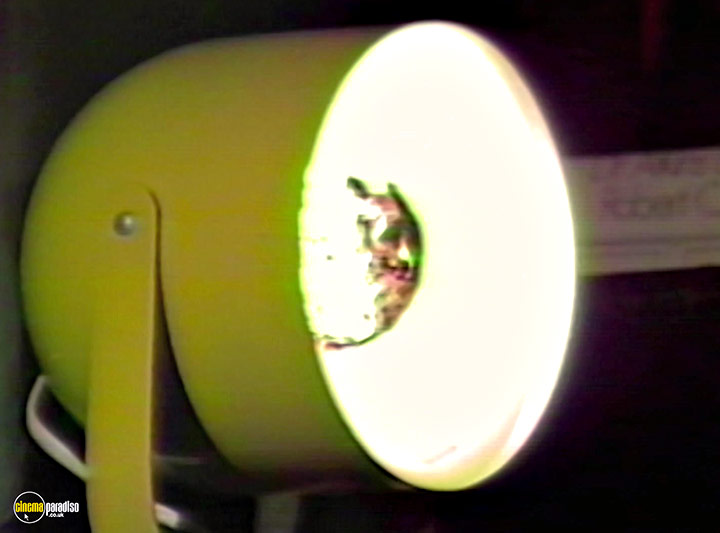 A still #18 from Run Coyote Run (1987)