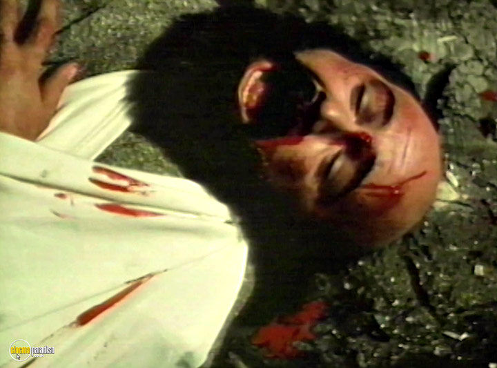 A still #8 from Run Coyote Run (1987)