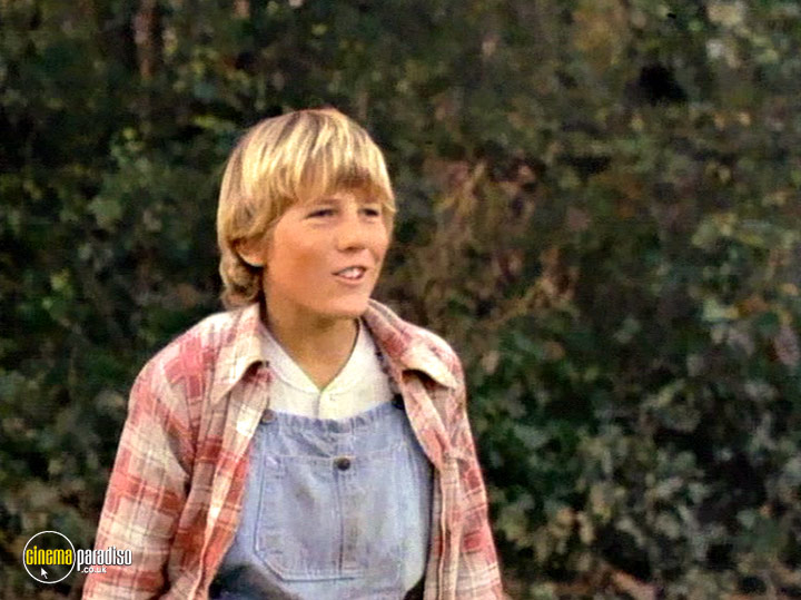 A still #36 from Where the Red Fern Grows (1974)