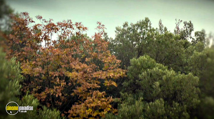 A still #33 from My Grandparents' War: Series 2 (2022)