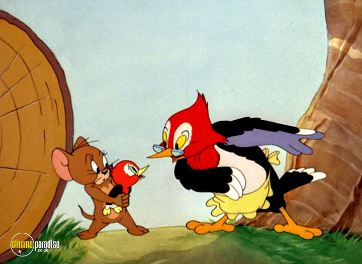 Cinema Paradiso 4K Bluray, Bluray & DVD Rental service