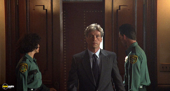 A still #31 from Body of Evidence (1992)