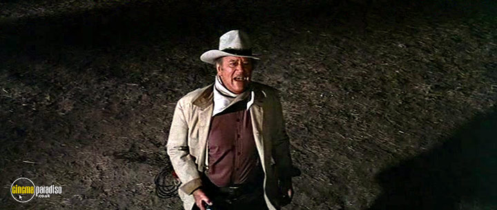 A still #14 from The Train Robbers (1973)