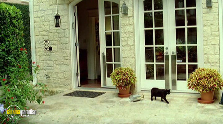 A still #3 from The King (2005)