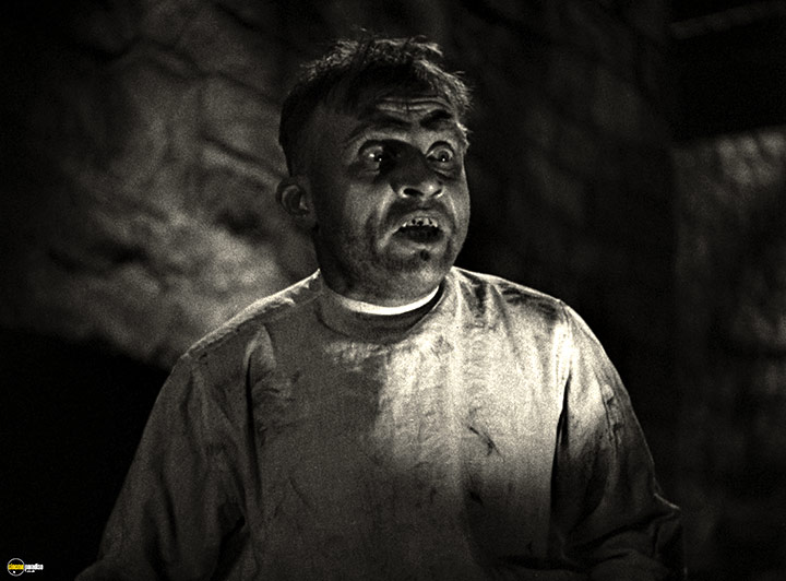A still #43 from Bride of Frankenstein (1935)