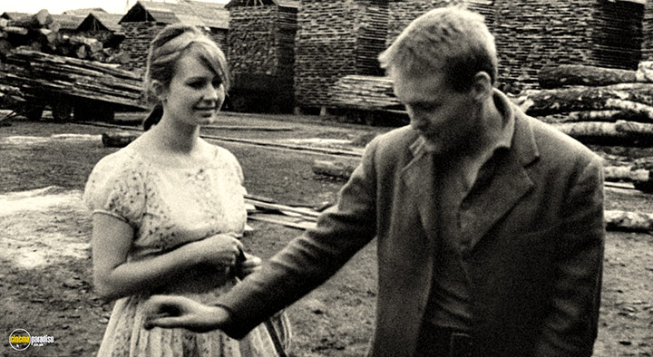 A still #28 from Identification Marks: None (1965)