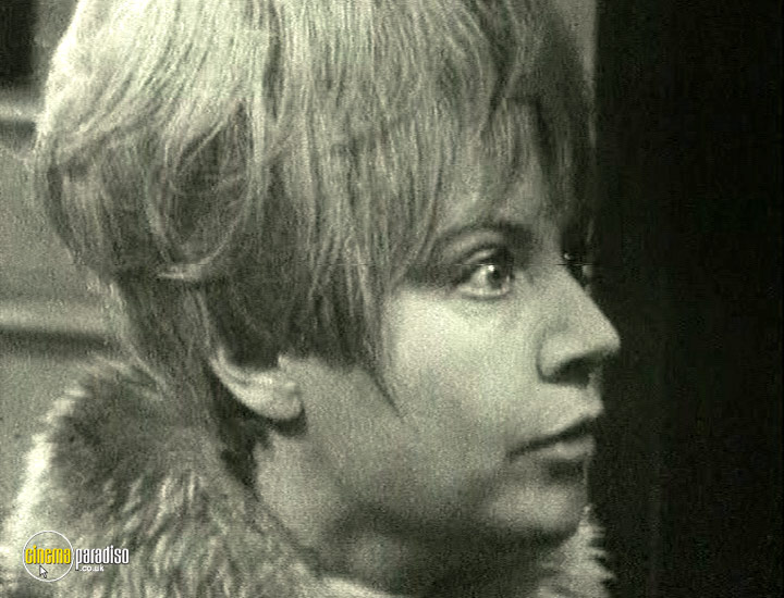A still #2 from Big Breadwinner Hog / Spindoe: Series (1969)