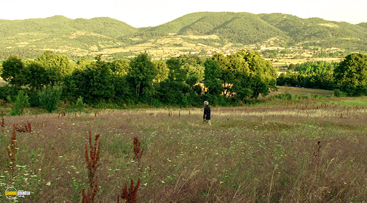 A still #27 from Clouds of May (1999)