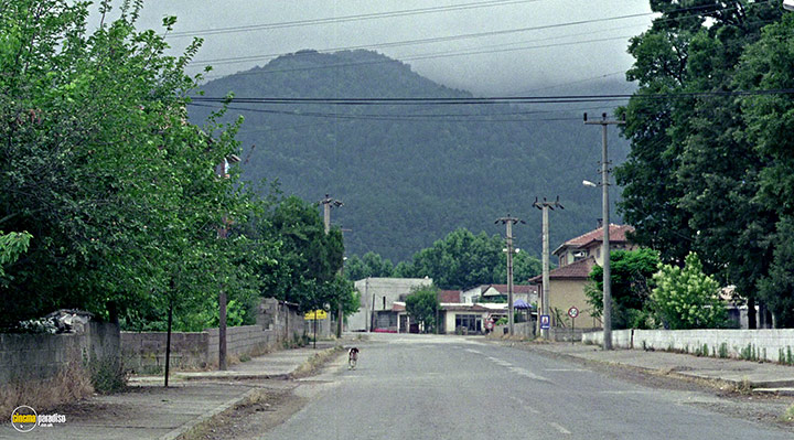A still #14 from Clouds of May (1999)