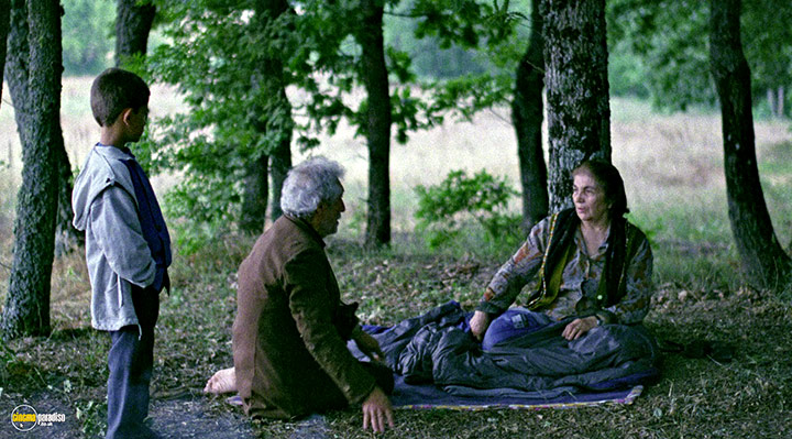 A still #8 from Clouds of May (1999)