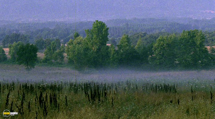 A still #6 from Clouds of May (1999)
