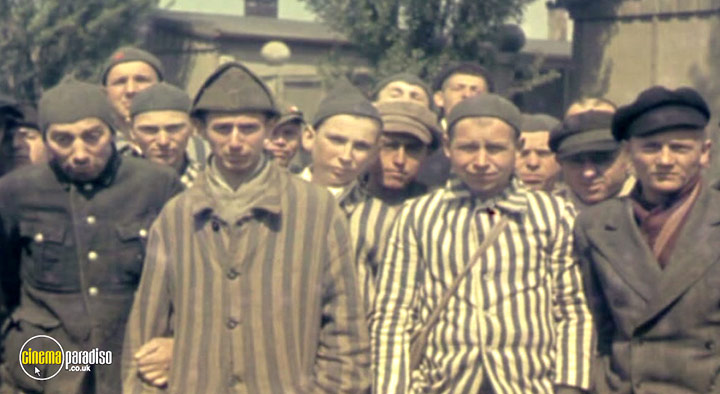 A still #51 from The Holocaust: Dachau: Liberation and Retribution (2010)