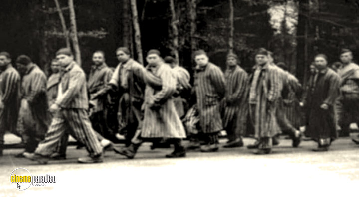 A still #40 from The Holocaust: Dachau: Liberation and Retribution (2010)