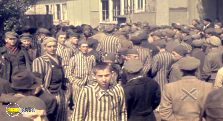 A still #1 from The Holocaust: Dachau: Liberation and Retribution (2010)