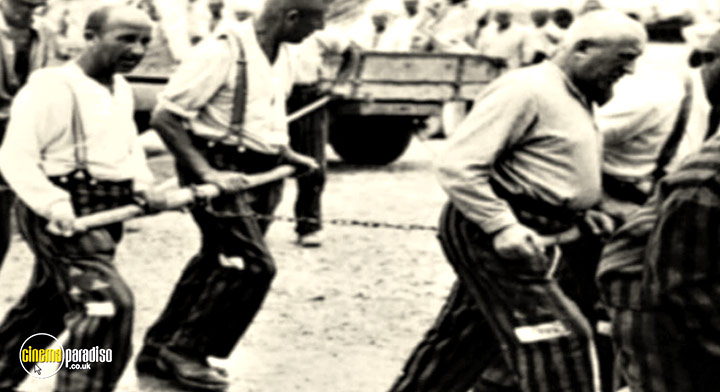 A still #15 from The Holocaust: Dachau: Liberation and Retribution (2010)