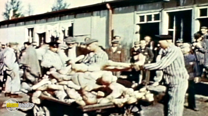 A still #13 from The Holocaust: Dachau: Liberation and Retribution (2010)
