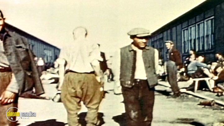A still #12 from The Holocaust: Dachau: Liberation and Retribution (2010)