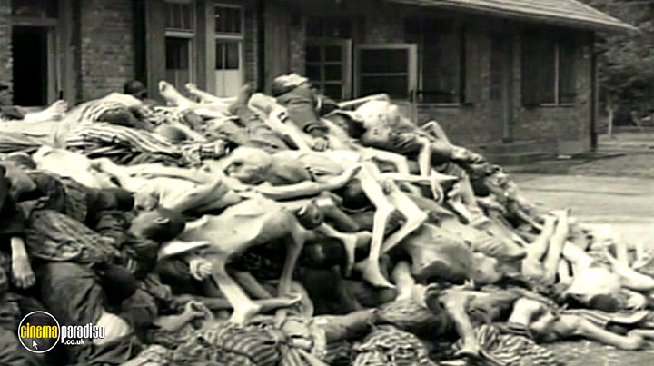 A still #6 from The Holocaust: Dachau: Liberation and Retribution (2010)