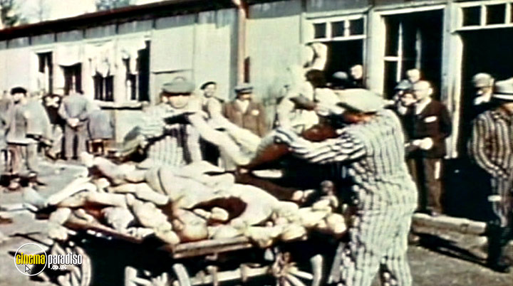 A still #2 from The Holocaust: Dachau: Liberation and Retribution (2010)