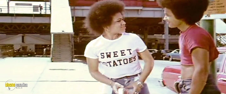 A still #8 from The Monkey Hustle (1976)