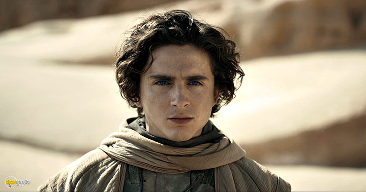A still #3 from Dune: Part Two (2024)