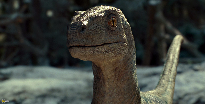 A still #24 from Jurassic World: Dominion (2022)
